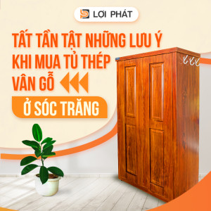 Tất tần tật những lưu ý khi mua tủ thép vân gỗ ở Sóc Trăng