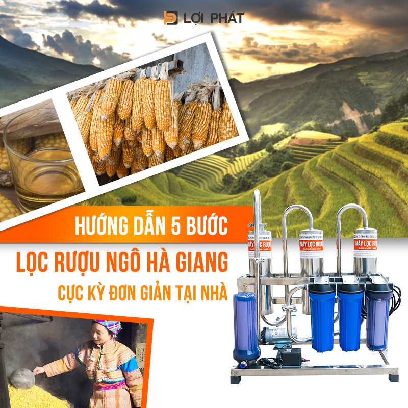 huong dan 5 buoc loc ruou ngo Ha Giang cuc don gian tai nha