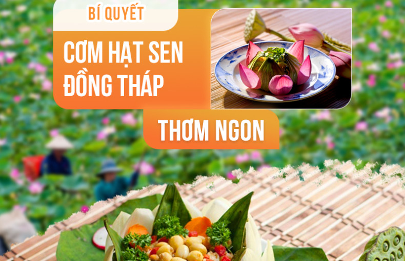 Bắt trọn bí quyết cơm hạt sen Đồng Tháp thơm ngon