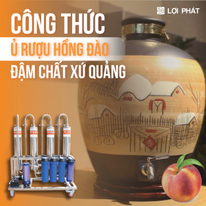 Hướng dẫn công thức ủ rượu Hồng Đào đậm chất xứ Quảng