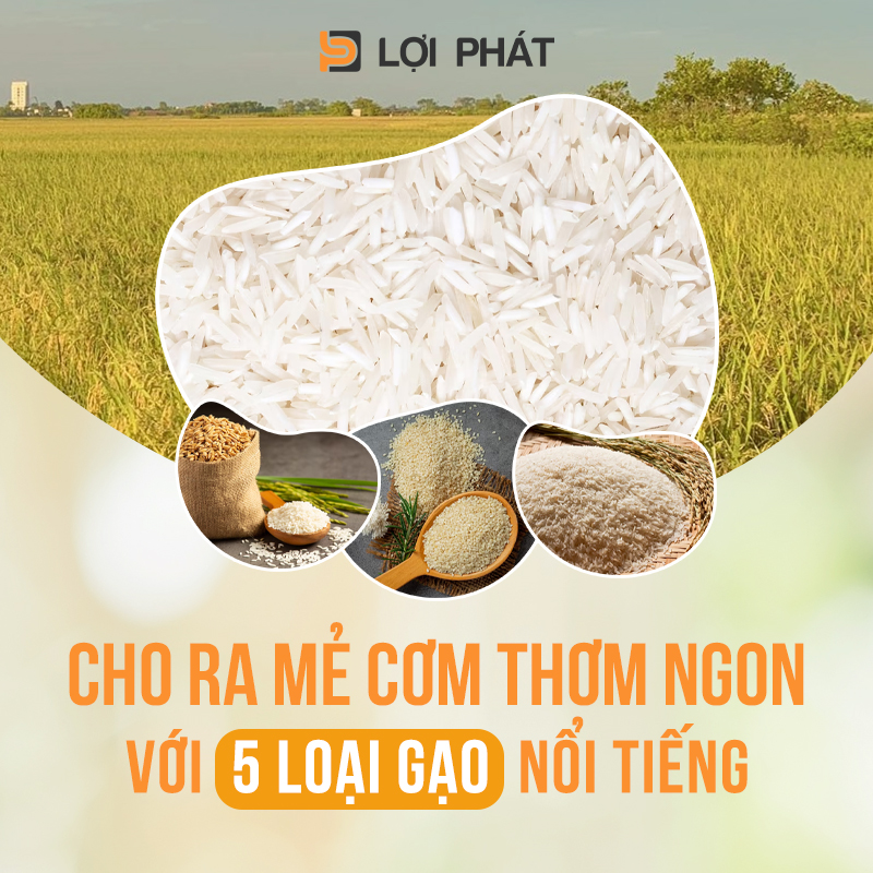 Nau com Tu nau com cong nghiep voi 5 loai gạo ngon