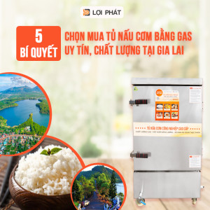 Bỏ túi ngay 5 bí quyết chọn mua tủ nấu cơm bằng gas uy tín, chất lượng tại Gia Lai